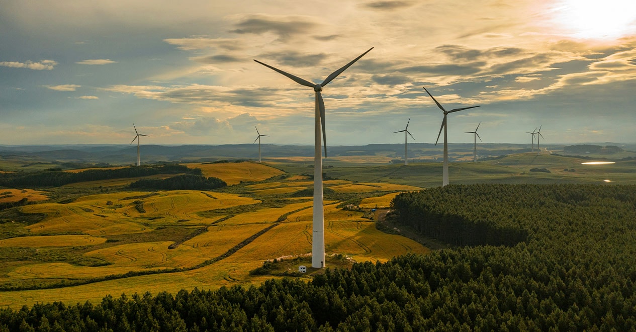 Sostenibilidad en el S. XXI: nuevas energías y nuevos materiales