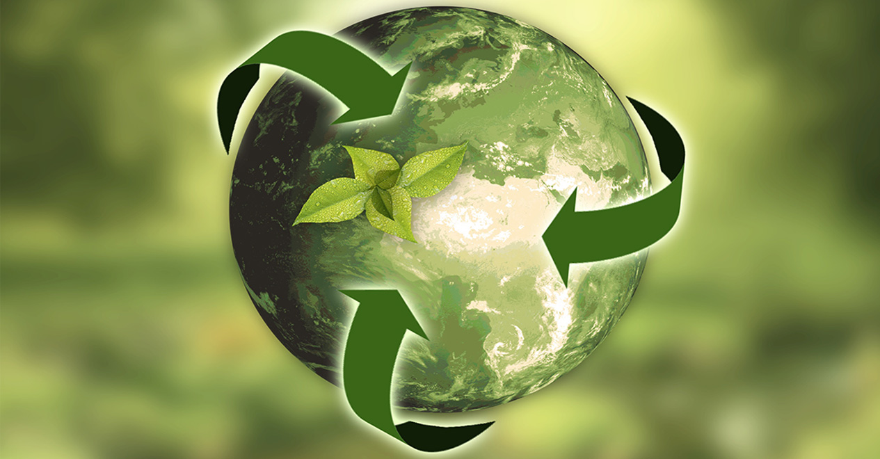 Present and future of the circular economy
